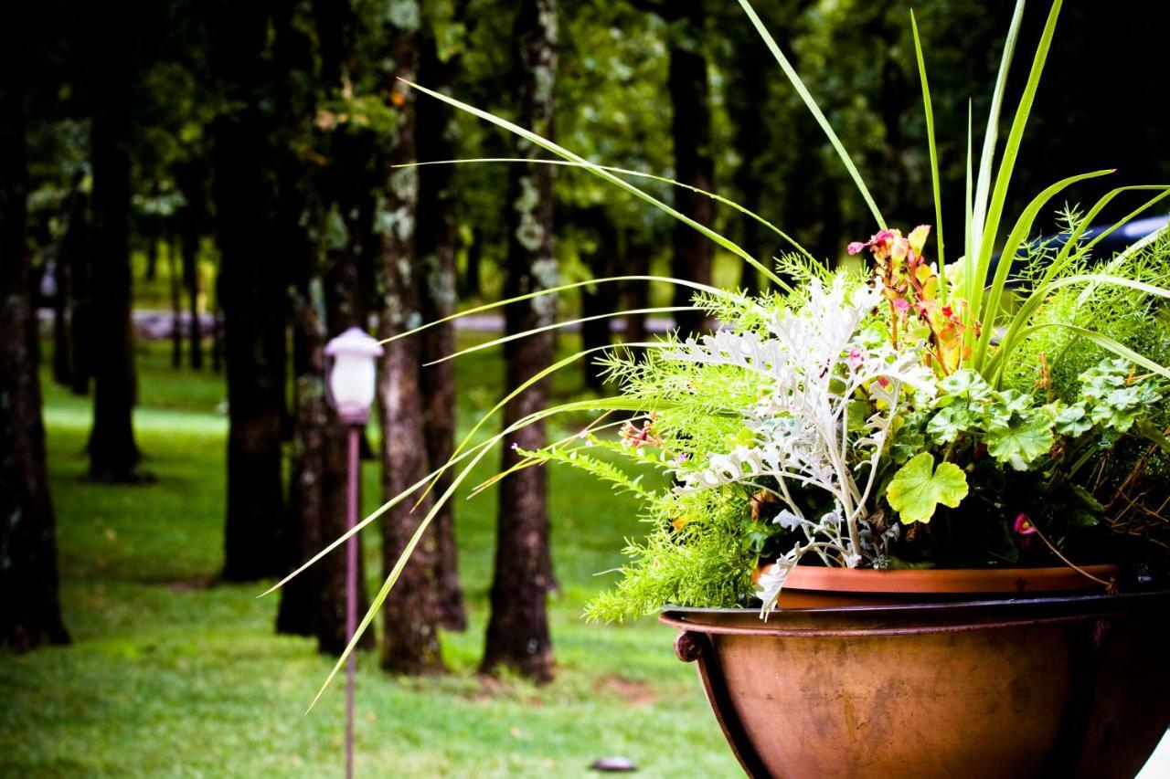 Postoak Lodge And Retreat Tulsa Phòng bức ảnh